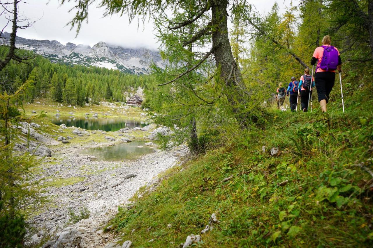 Chalet Hike&Bike Above Bohinj Valley Eksteriør billede