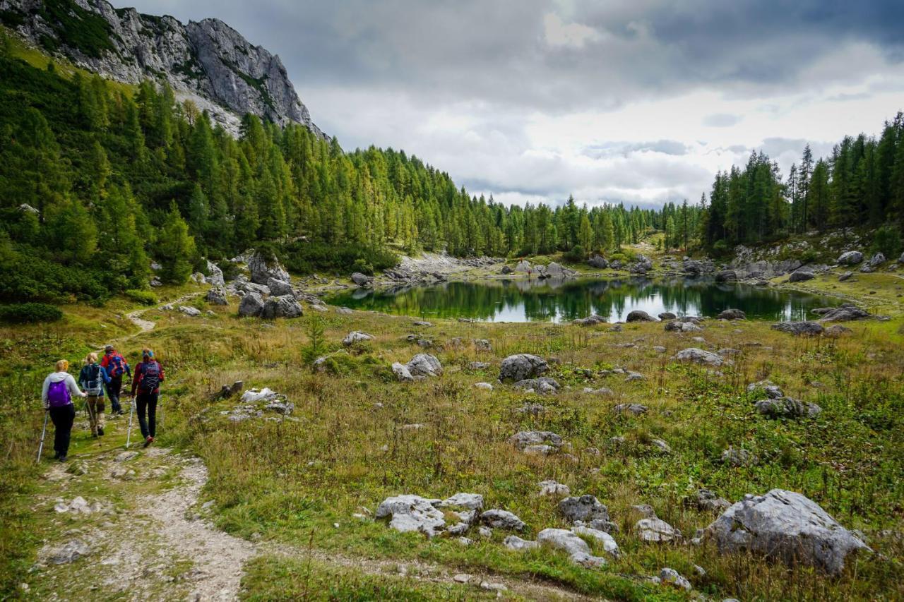 Chalet Hike&Bike Above Bohinj Valley Eksteriør billede