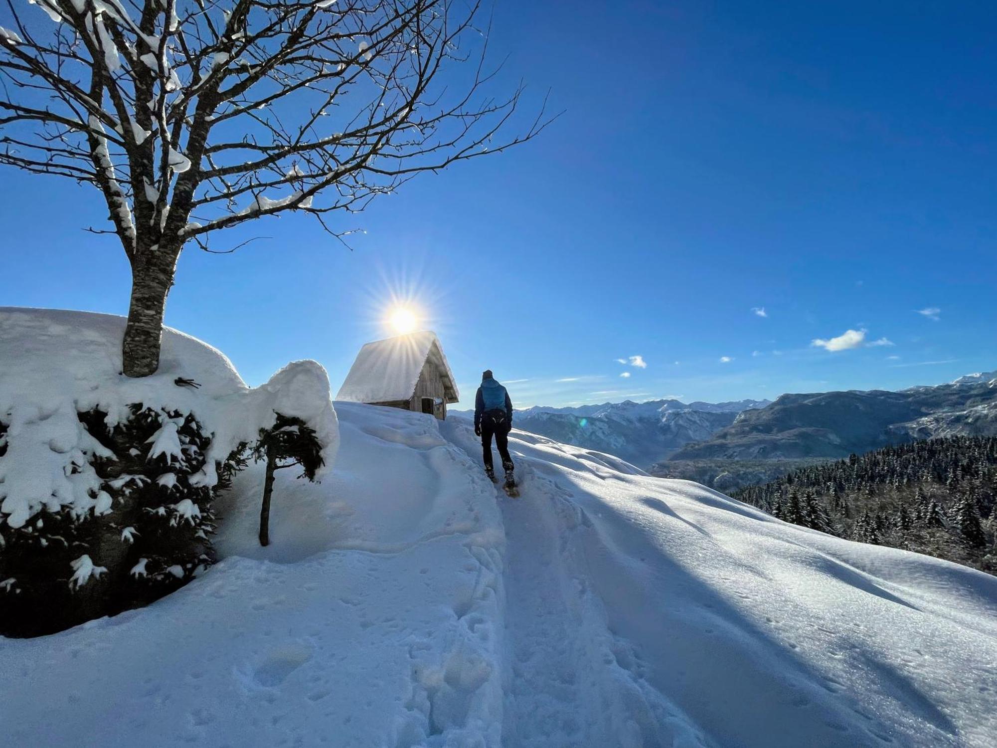 Chalet Hike&Bike Above Bohinj Valley Eksteriør billede